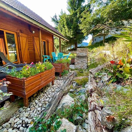 Chalet Des Feignes La Bresse Exterior photo