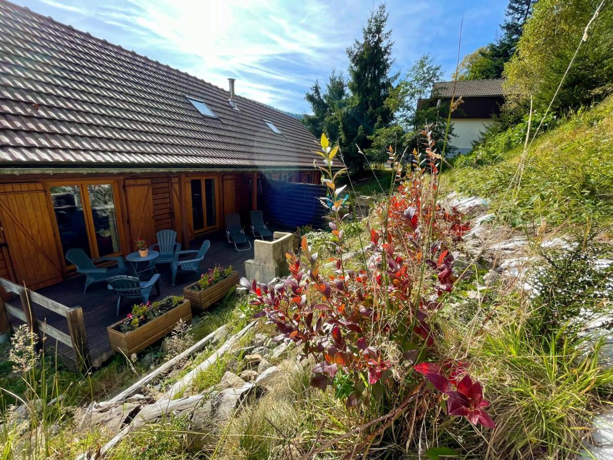 Chalet Des Feignes La Bresse Exterior photo
