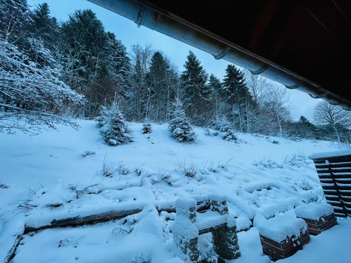 Chalet Des Feignes La Bresse Exterior photo
